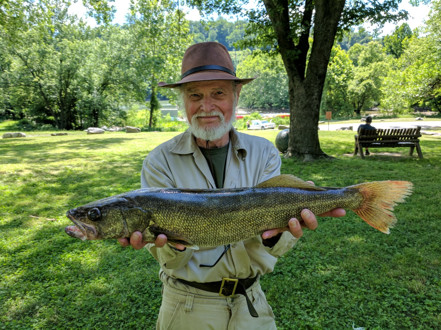 Report from Fletcher’s Cove, June Boating in DC Kayaking, Paddling