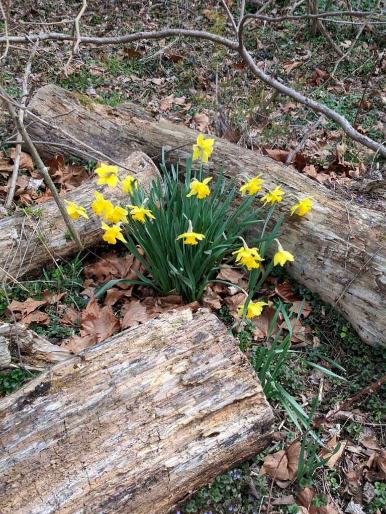 Report from Fletcher’s Cove Boating in DC Kayaking, Paddling, Passes