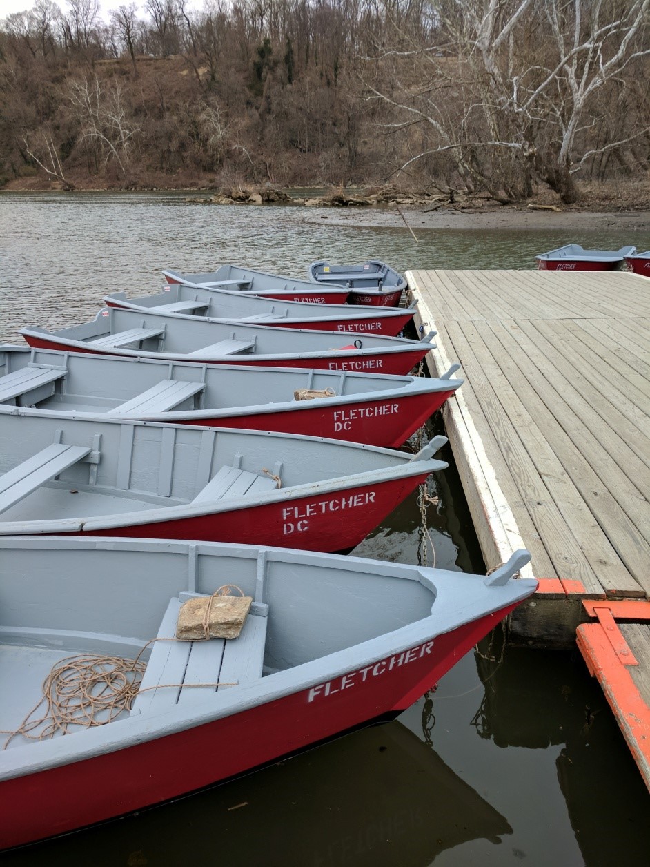 Report from Fletcher’s Cove Boating in DC Kayaking, Paddling, Passes