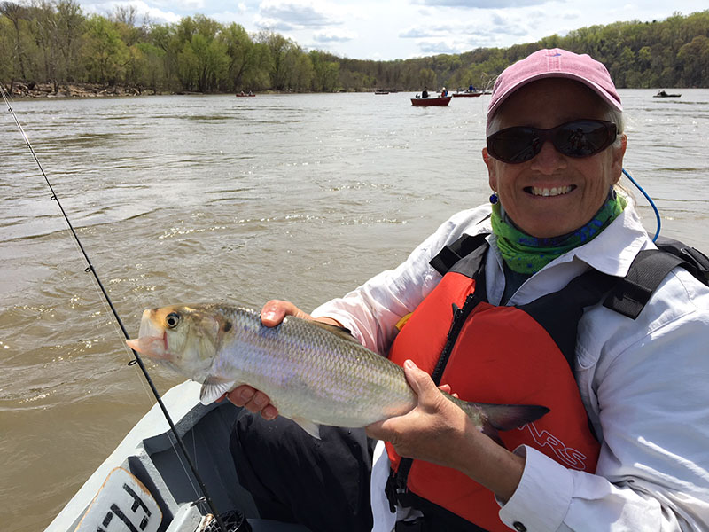 Report from Fletcher’s Cove Boating in DC Kayaking, Paddling, Passes