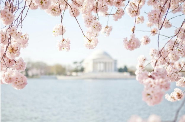 Boat Rental DC Monument